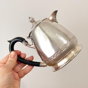 Peut inclure: Une cruche argentée avec une poignée noire et une bande décorative au milieu. La cruche a un bec verseur et un couvercle avec un petit bouton sur le dessus. La poignée est incurvée et la cruche est tenue par une main.