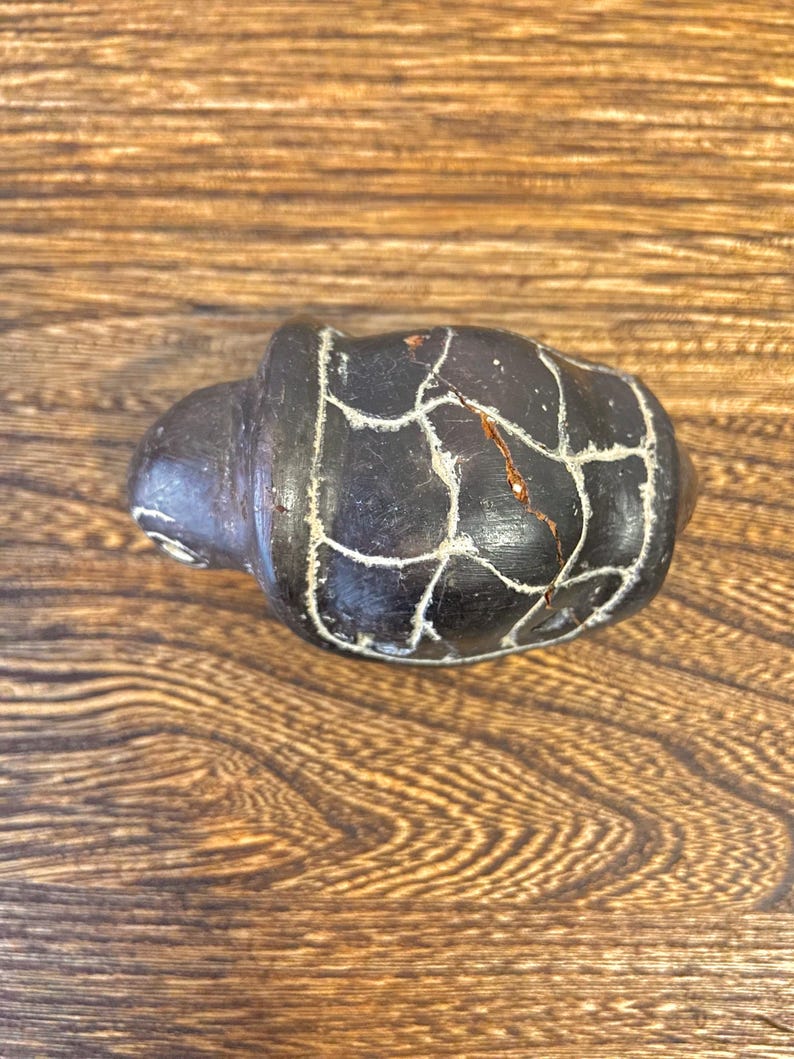 Greek Turtle Shell Instrument Vintage Turtle Ocarina Flute, Handcrafted Clay Wind Instrument, Tribal ...