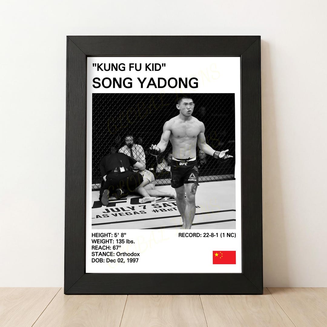 Song Yadong "kung Fu Kid" MMA Poster - Etsy