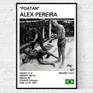Alex pereira - Etsy 日本