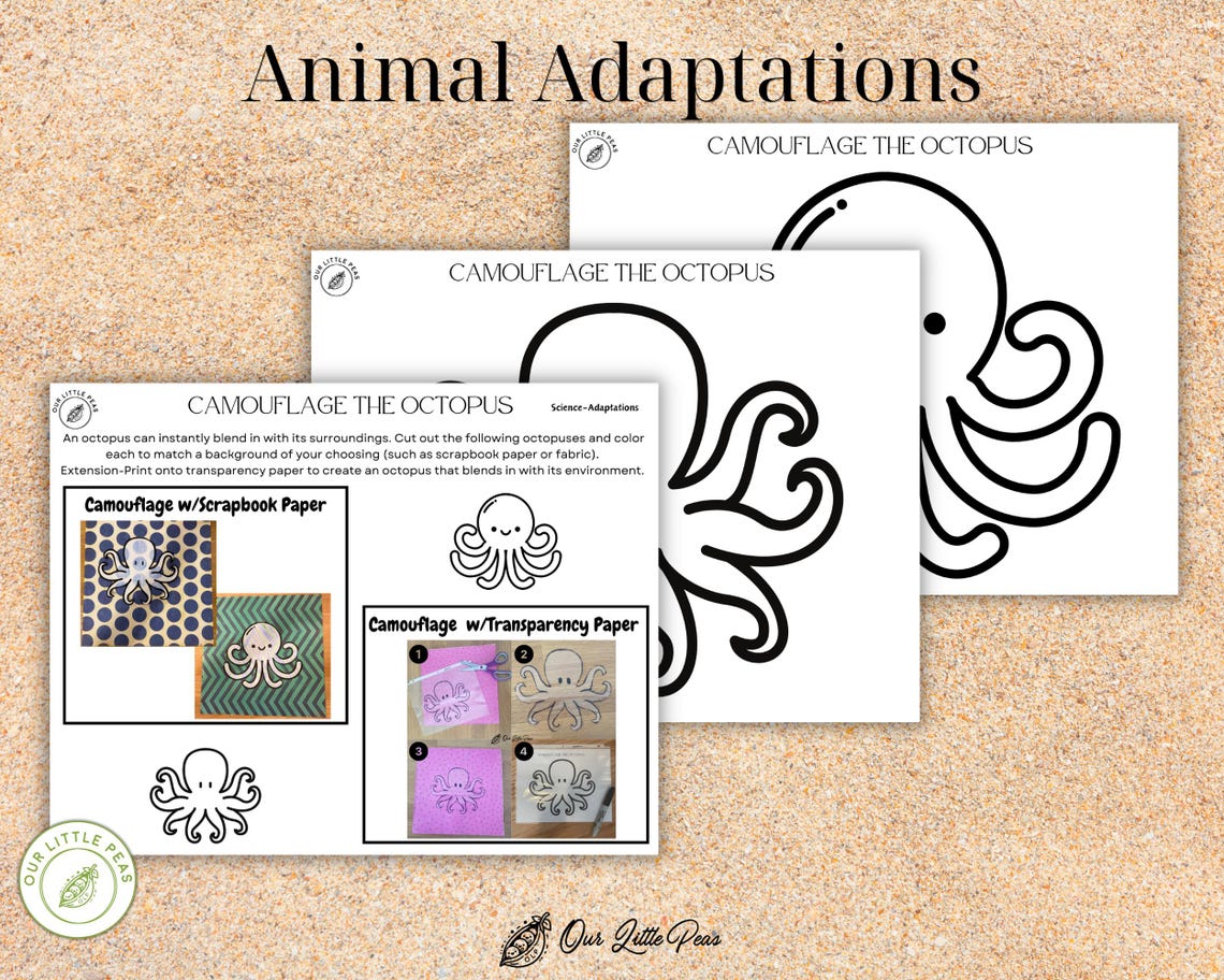 Ocean Octopus Camouflage, Animal Adaptation, Preschool Activity ...