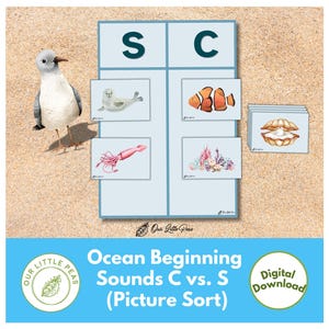 Sonidos del océano, reconocimiento de letras, tabla sensorial, material imprimible para preescolar y jardín de infantes, material imprimible para preescolar, actividad para preescolar