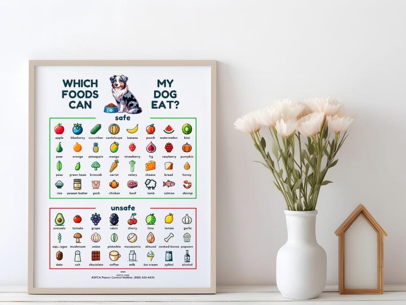 Australian Shepherd Food Safety Poster - What Can Aussies Eat, Safe ...