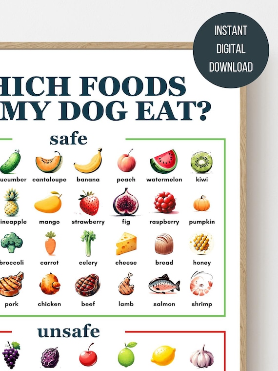 DOGOページ Dog Food Safety Poster Watercolor Style - What Can Dogs Eat Chart
