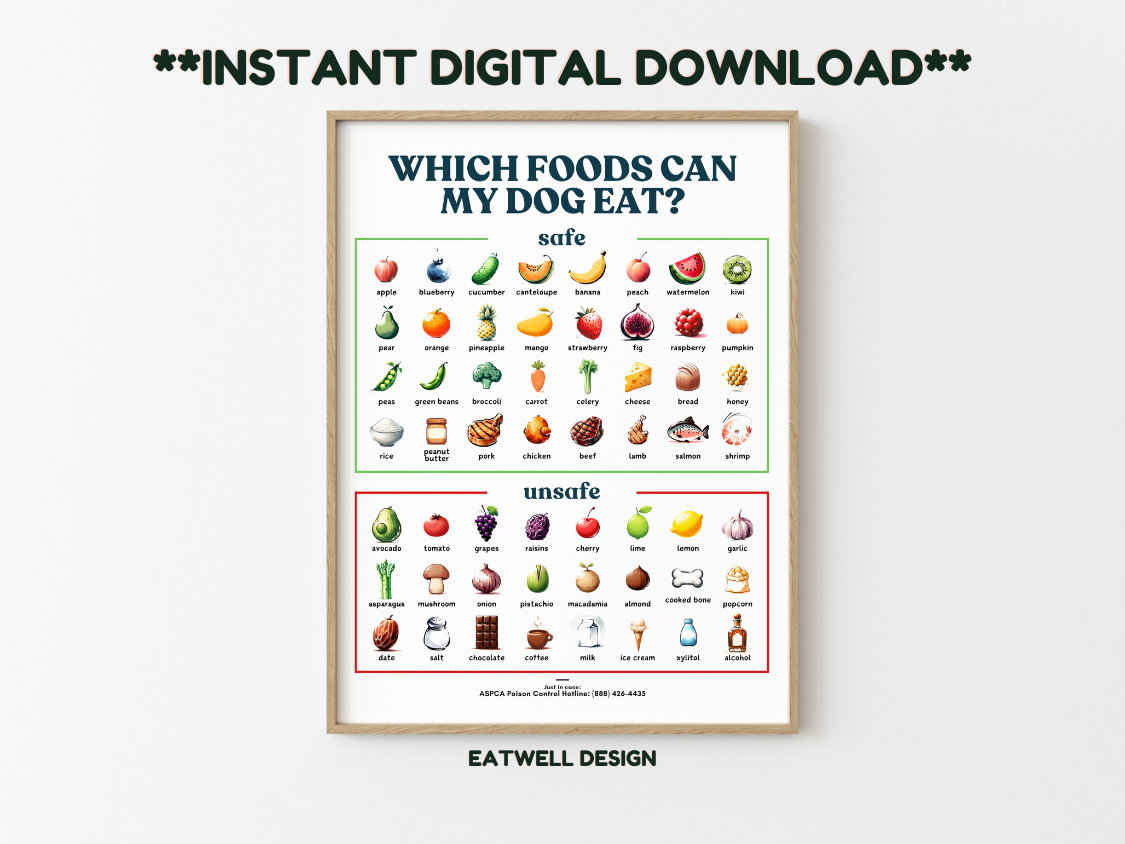 Dog Food Safety Poster Watercolor Style - What Can Dogs Eat Chart