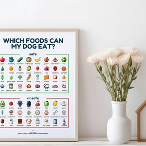 Puede incluir: Un gráfico colorido titulado "¿Qué alimentos puede comer mi perro?" enumera los alimentos seguros y peligrosos para los perros. Los alimentos seguros incluyen frutas, verduras, cereales y carnes. Los alimentos peligrosos incluyen aguacates, uvas, pasas, cebollas, chocolate y alcohol.