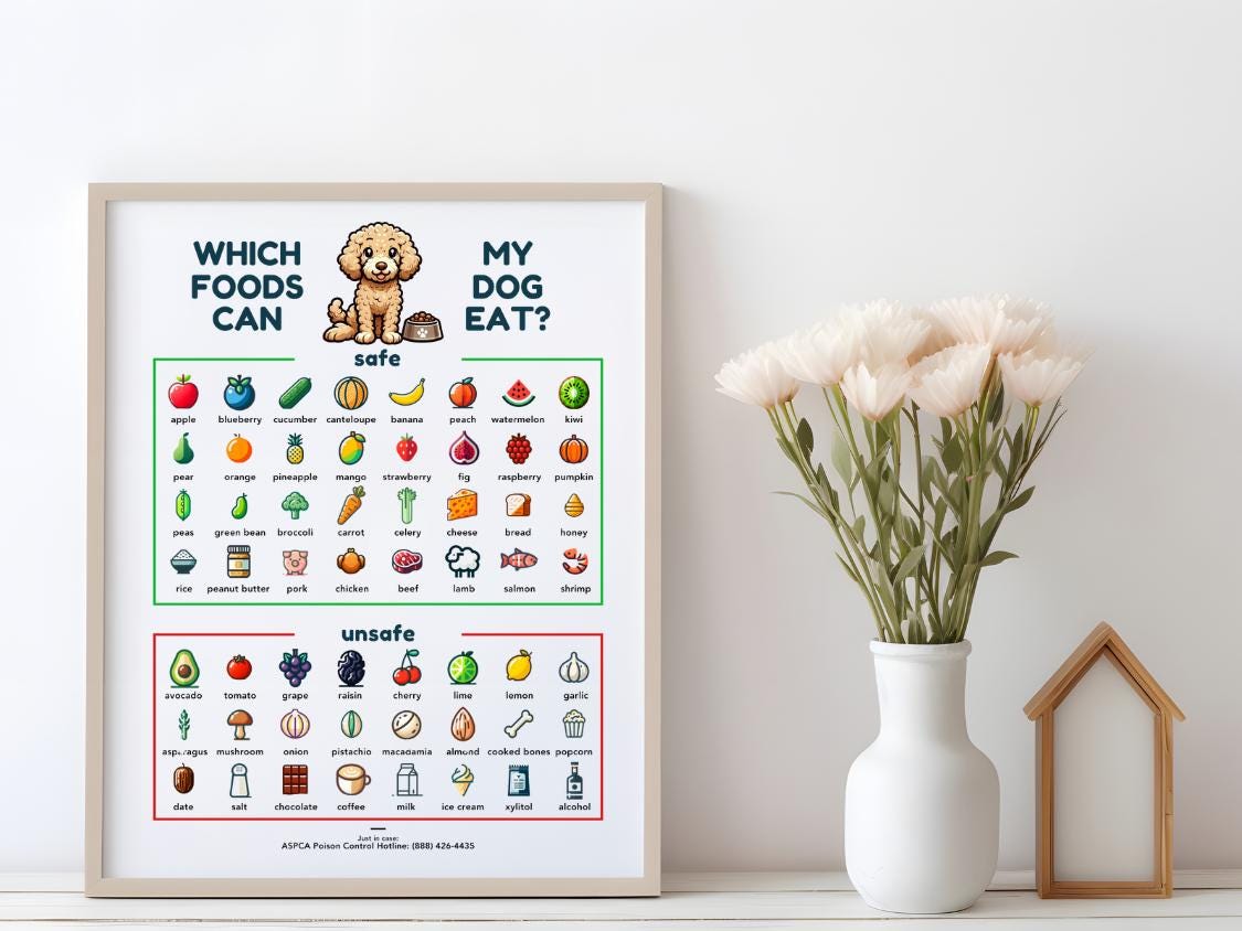 Labradoodle Food Safety Poster - What Can Labradoodles Eat, Safe Toxic ...