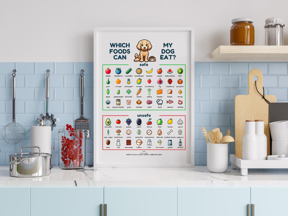 Labradoodle Food Safety Poster - What Can Labradoodles Eat, Safe Toxic ...