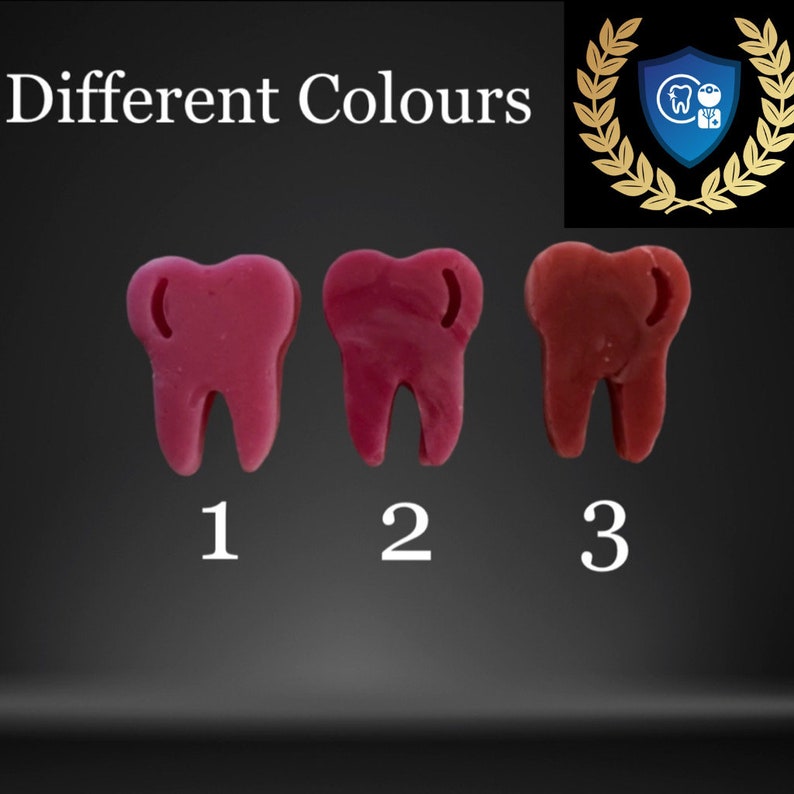 Craft Your Model, Learn Model, Dental Fix Kit, DIY Denture Show Model