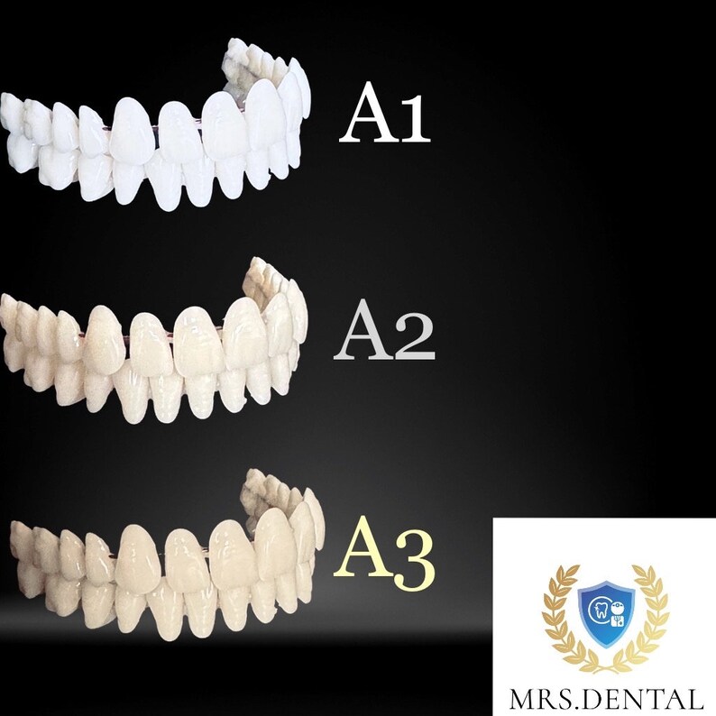 Craft Your Model, Learn Model, Dental Fix Kit, DIY Denture Show Model