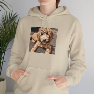 Sudadera con capucha unisex con diseño de perro Goldendoodle en una escena al aire libre, divertida sudadera con capucha de rescate con diseño de doodle, regalo