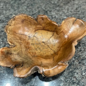 schaal van natuurlijk essenhout