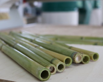 Natural Reed Sticks  100% Natural Reed Stalks - Dried Reeds Straws - Crafts home decor - Organic Eco DIY -