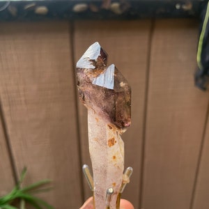 Shangaan Smoky Amethyst Scepter W/ Enhydro