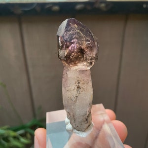 Shangaan Smoky Amethyst Scepter W/ Enhydros