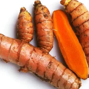 Fresh Turmeric Root