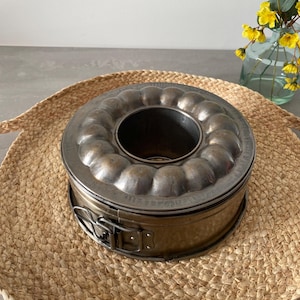 Springform cake pan with mould
