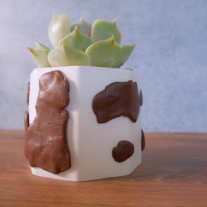 May include: A white hexagonal planter featuring raised brown patches in a cow-print pattern. A light green succulent plant with pointed leaves is potted inside the container, which has a smooth finish and distinct geometric sides.