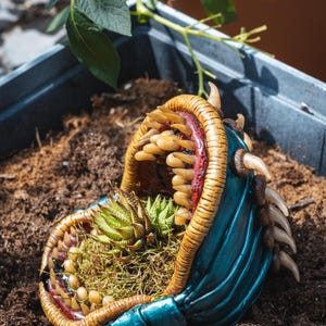May include: A teal, mouth-shaped planter with a textured, tan-colored rim lined with numerous sharp, light-colored teeth. The interior contains a small green succulent nestled in moss. The exterior features dark brown, thorn-like protrusions.