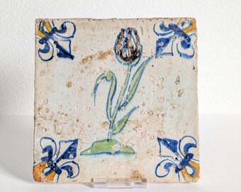 Delftse tegel 17e eeuw: Nederlandse tulp circa 1620-1640