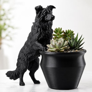 May include: A matte black dog figurine standing on its hind legs with its front paws resting on the rim of a matching black planter. The planter contains a cluster of green and light-tipped succulents with pointed and rounded leaves.