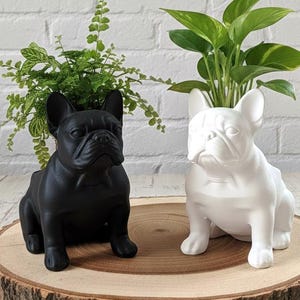 French Bulldog Planter | 3D Printed Frenchie Succulent Pot | Dog Lover Gift | Adorable Desk Decor