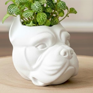 May include: A matte white ceramic planter shaped like a dog head with pointed ears and a wrinkled snout. The planter holds a small green plant with white veined leaves. The dog-shaped vessel features detailed facial contours and a smooth finish.