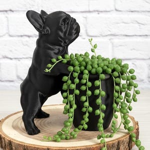 French Bulldog Planter | 3D Printed Succulent Pot |  Frenchie Hugging Plant Holder | Dog Lover Gift