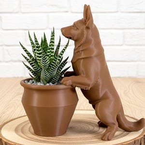 May include: A brown decorative dog figurine leans on a brown potted succulent plant. The plant sits on a wooden slice. The dog figurine and the pot are the same shade of brown. The succulent has green and white striped leaves.