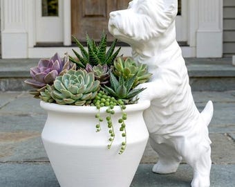 Westie West Highland Terrier Planter Pot  | 3D Printed Dog  Succulent Holder|  Puppy Plant Holder