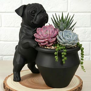 May include: A matte black pug figurine standing beside a matching black planter pot. The pot contains a collection of succulents, including a pink rosette, a light blue rosette, a striped haworthia, and a trailing string of pearls plant.