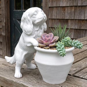 May include: A white ceramic dog statue stands beside a white ceramic planter filled with succulents. The planter contains a variety of succulents, including a pink succulent, and a zebra plant. The dog statue is a decorative garden accent.
