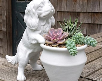 Cavalier King Charles Spaniel Planter Pot  | 3D Printed Dog  Succulent Holder|  Puppy Plant Holder