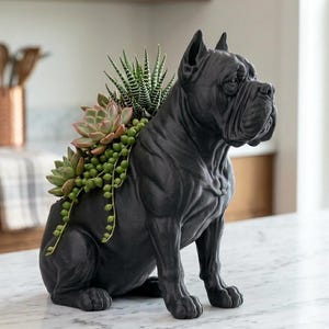 May include: A matte black dog-shaped planter featuring a muscular build and a wrinkled face. The planter holds a variety of green succulents, including a spiky haworthia, a rosette-shaped echeveria, and a trailing string of pearls plant.