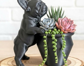 French Bulldog Planter | 3D Printed Succulent Pot |  Frenchie Hugging Plant Holder | Dog Lover Gift