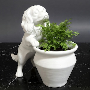May include: A white ceramic dog figurine playfully interacting with a white ceramic planter filled with a green plant. The dog is standing on its hind legs, paws resting on the planter's rim. The plant has small, delicate leaves.