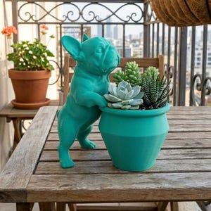 May include: A teal-colored French bulldog figurine standing beside a matching teal planter pot. The planter contains a variety of small green succulents, including a rosette-shaped plant and a spiky, striped succulent with pointed leaves.