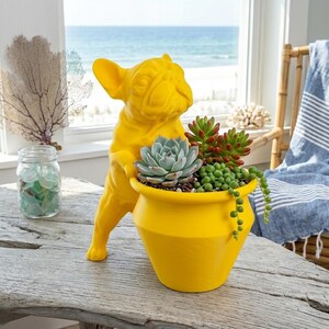 May include: A bright yellow French bulldog figurine standing on its hind legs, holding a matching yellow planter pot filled with a variety of green and reddish succulents, including a large rosette-shaped succulent and trailing string of pearls.