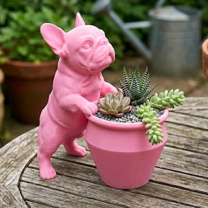French Bulldog Planter | 3D Printed Succulent Pot | Frenchie Hugging Plant Holder | Dog Lover Gift Pink