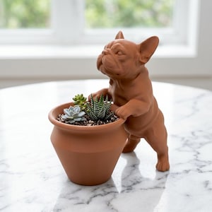 May include: A terracotta-colored planter shaped like a French Bulldog standing on its hind legs with its front paws resting on the rim. The pot contains a small green succulent plant with striped leaves and a pale green rosette-shaped succulent.