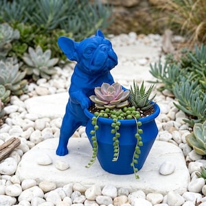 May include: A bright blue French bulldog figurine standing on its hind legs, with its front paws resting on the rim of a matching blue planter. The planter contains a variety of small succulents, including a string of pearls plant.