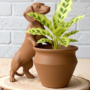 May include: A brown dachshund dog figurine supporting a brown terracotta pot with a green and yellow plant. The dog is positioned as if it is holding the pot. The pot is sitting on a wooden slice.