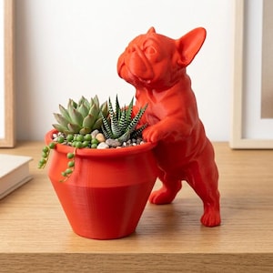 May include: A bright orange planter shaped like a French bulldog standing on its hind legs, with its front paws resting on the rim. The planter contains a variety of small green succulents, including a rosette-shaped plant and a trailing vine.