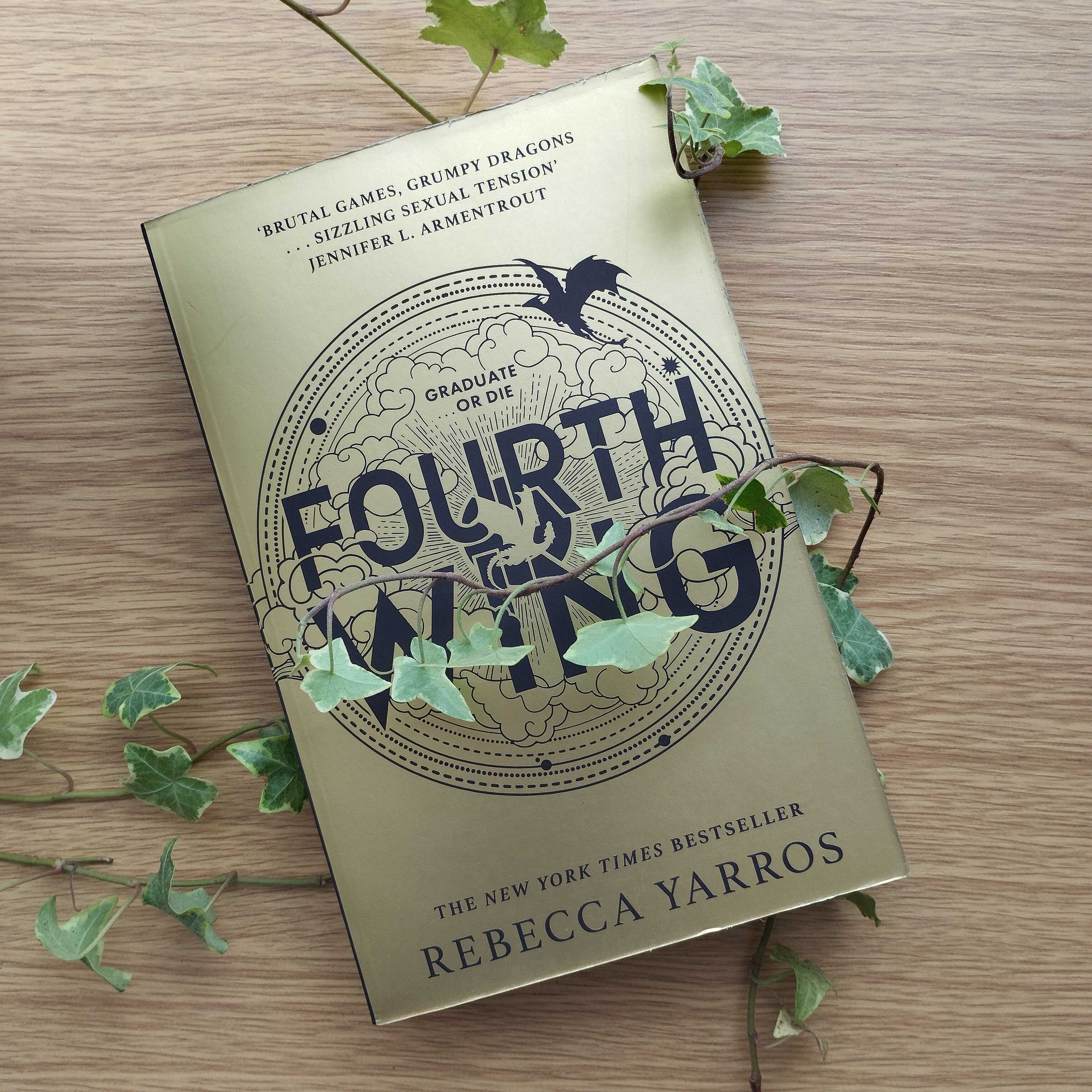 Hidden Foreedge Painting Fourth Wing by Rebecca Yarros Etsy