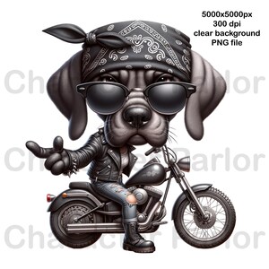 Motorbike Cartoon, Motorcycle Rider, Motorcycle Cartoon, Motorbike Clipart PNG, Great Dane biker caricature
