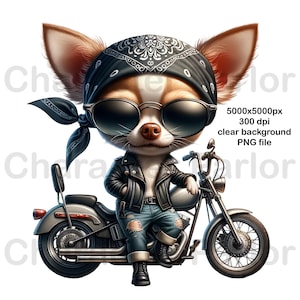 Motorbike Cartoon, Motorcycle Rider, Motorcycle Cartoon, Motorbike Clipart PNG, Chihuahua biker caricature