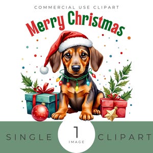 Merry Christmas Dachshund Png, Dog Mom Gift, Dachshund Lover, Christmasn Gift, Wiener Png, Sausage Dog Png Doxie, Xmas Dachshund Gift