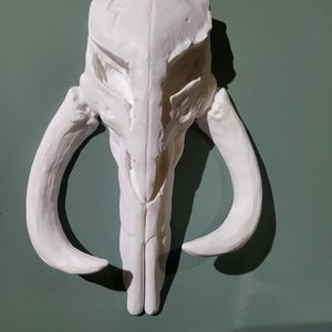 Lienzo mitosaurio