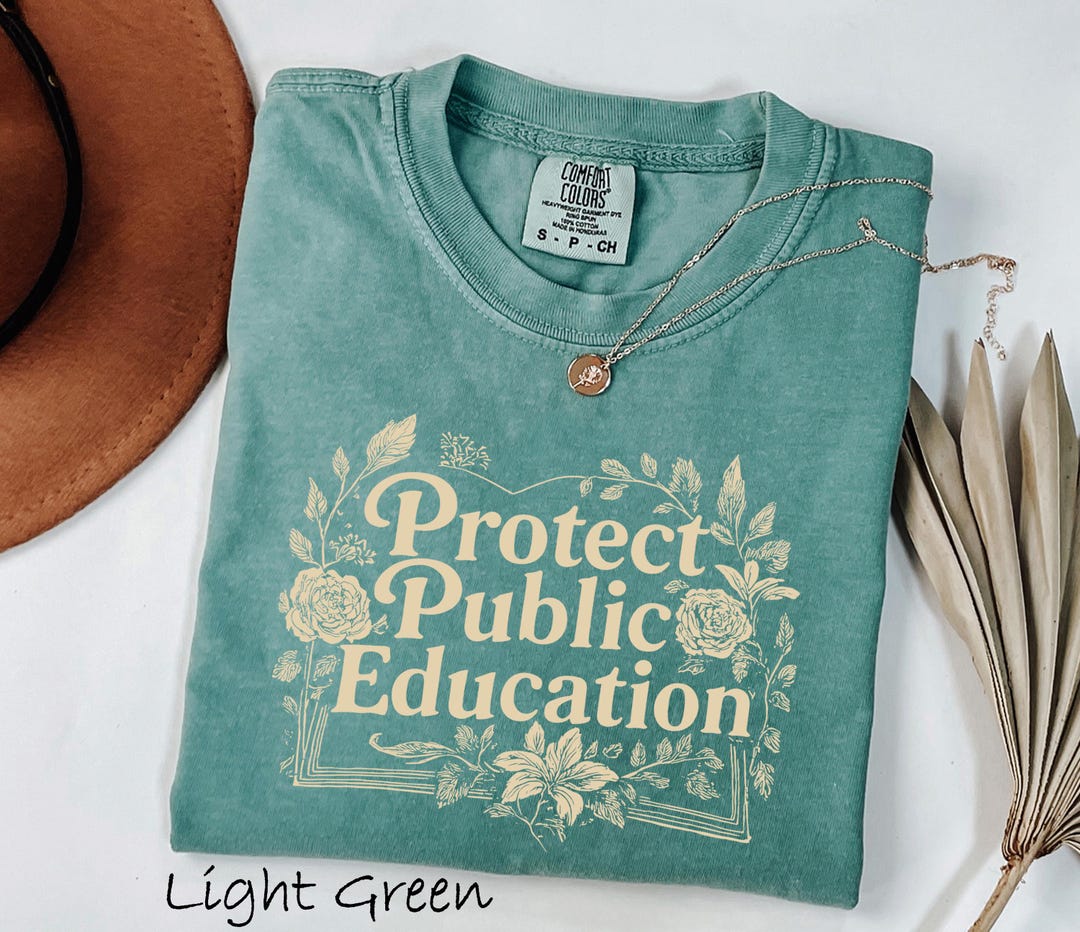 Comfort Colors® Protect Public Schools, Teacher Protest Shirt ...