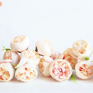 12 Mini Peonies in Pink and Cream - Peony Buds - Artificial Flowers, Fake Flowers, Peony, Peonies, Peony Buds - ITEM 1513